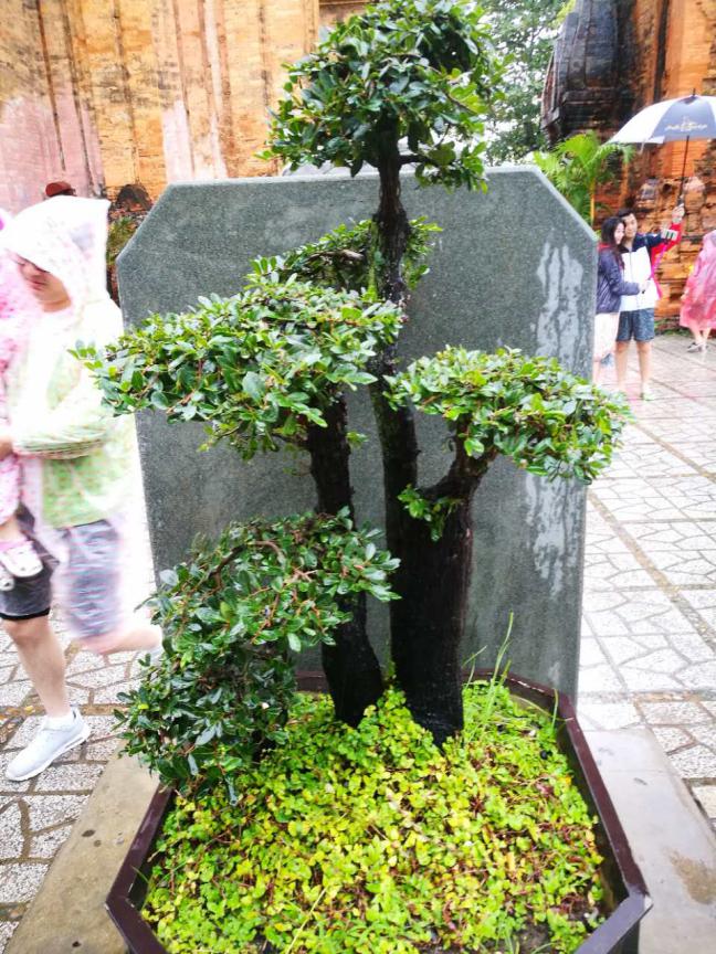 注册送彩金论坛