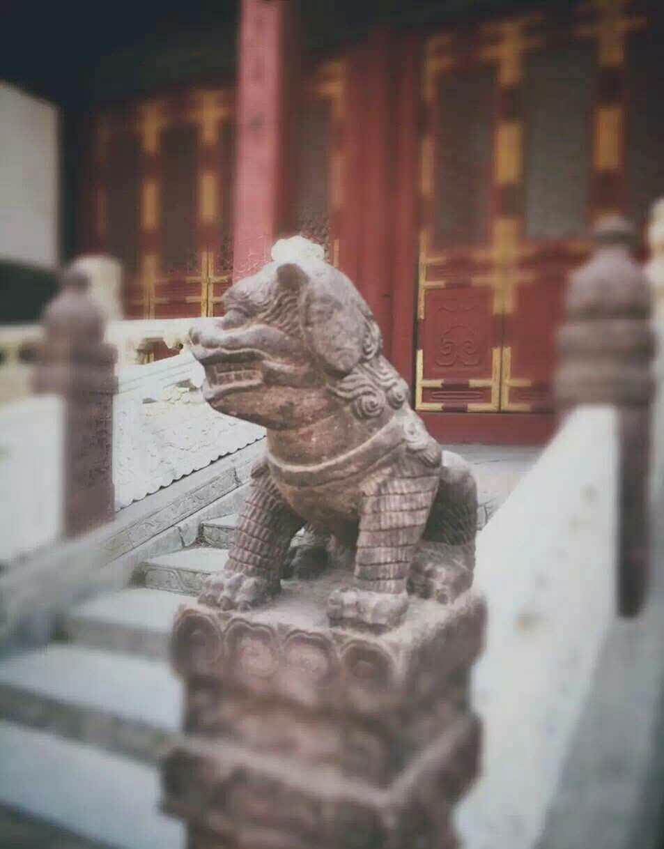 注册送彩金论坛