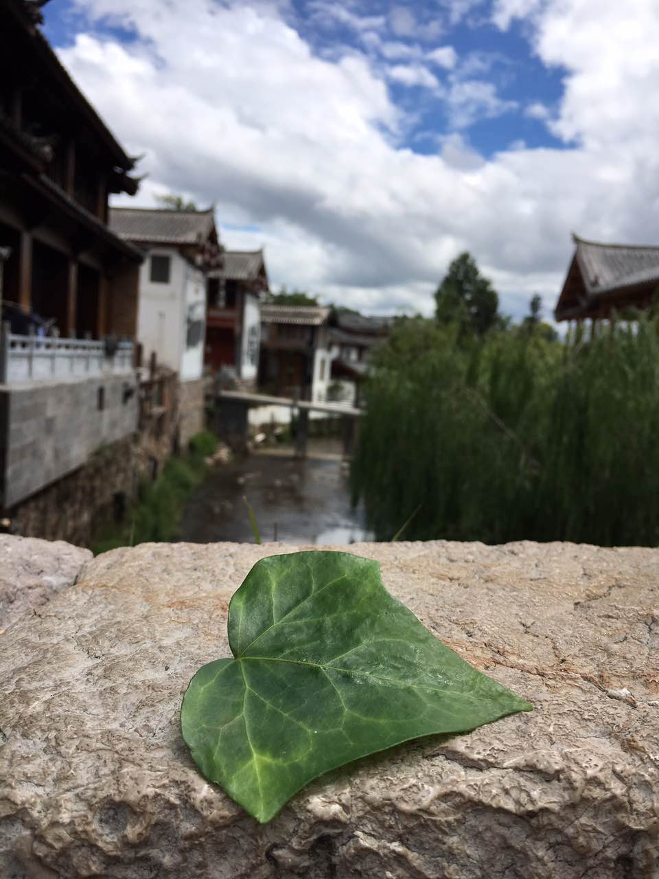 注册送彩金论坛
