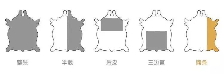注册送彩金论坛