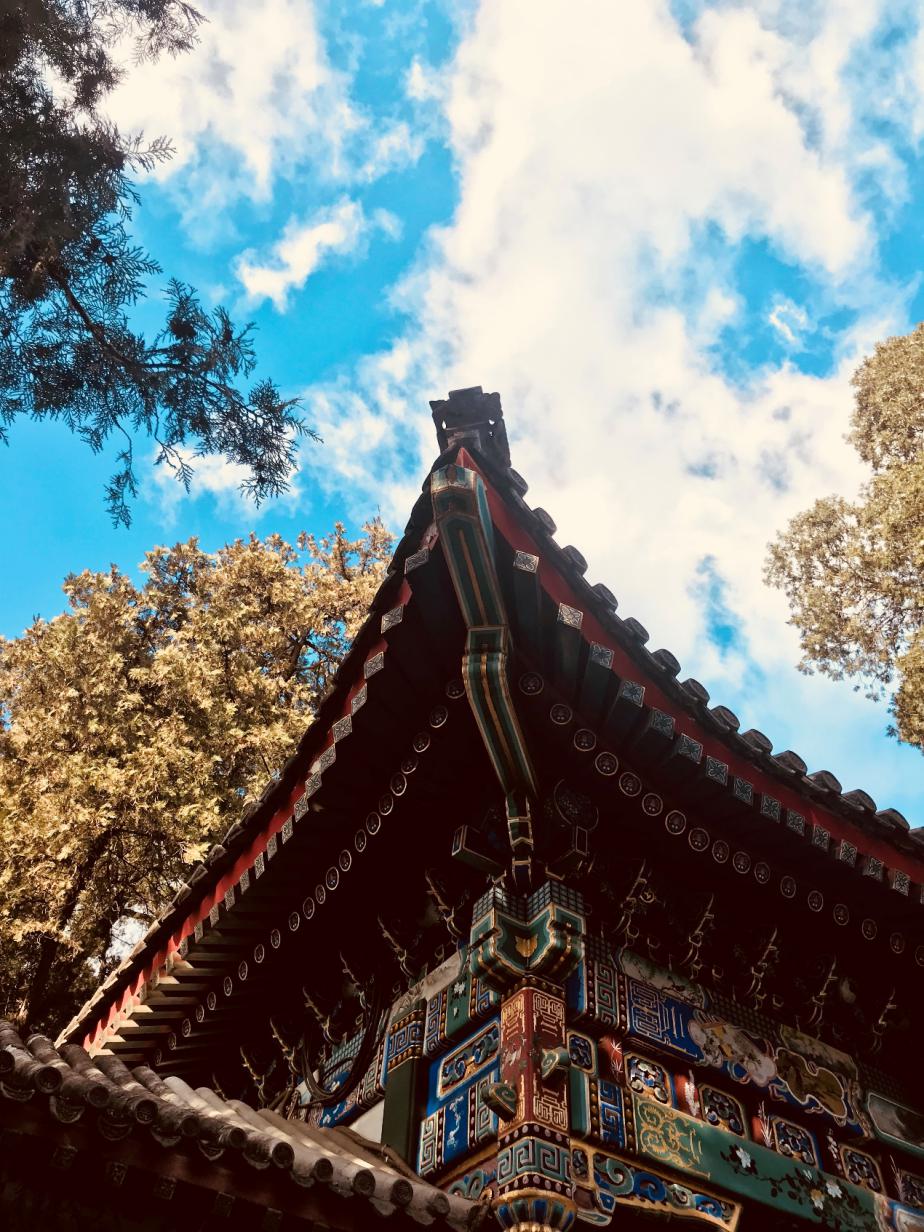 注册送彩金论坛