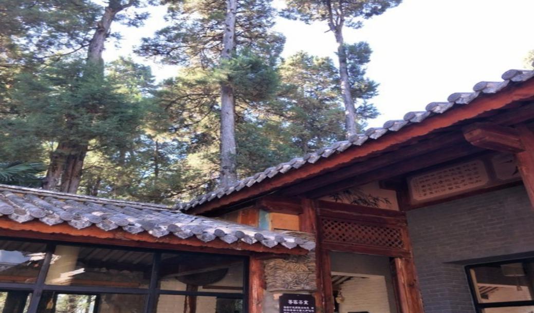 注册送彩金论坛